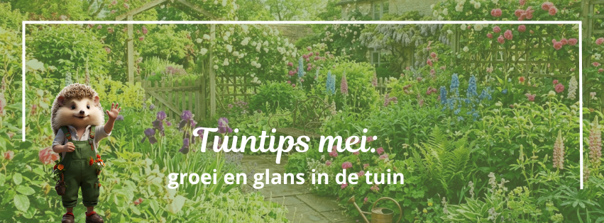 Bodemverbetering voor je tuin: welke compost kies je best? 